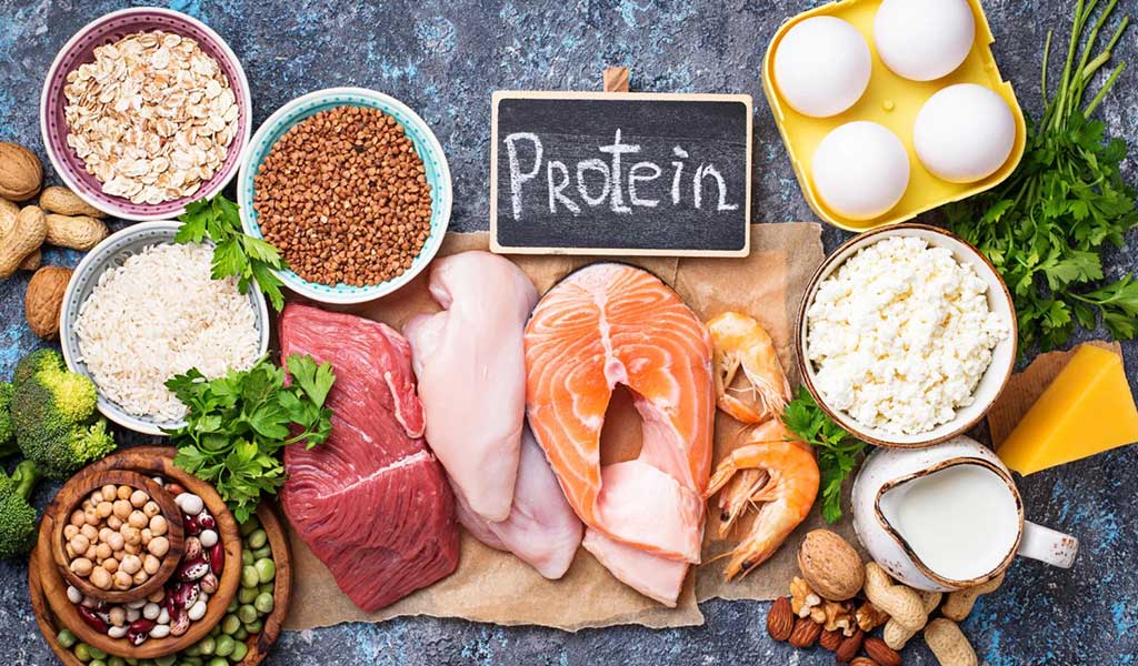 نقش پروتئین در بدنسازی